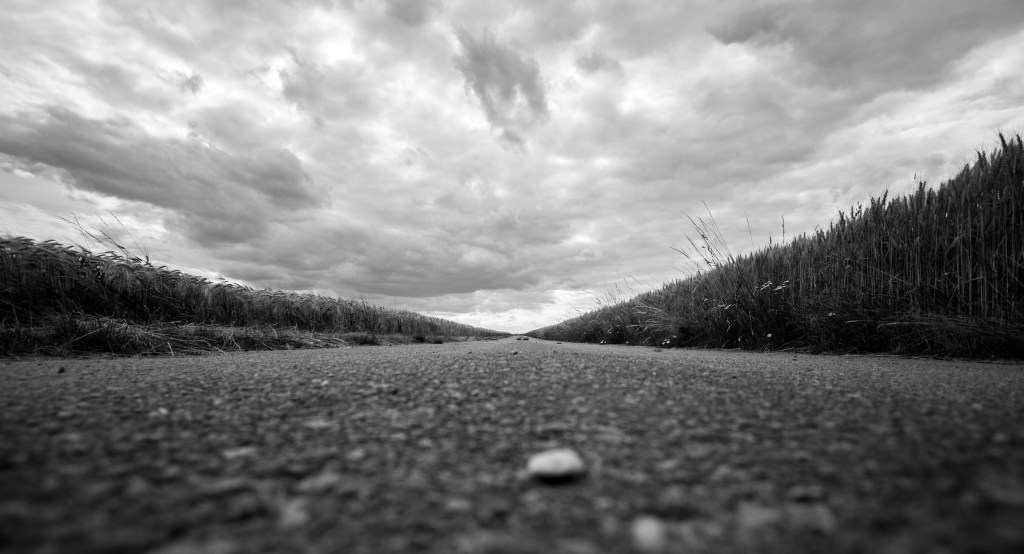 Straße zwischen zwei Gerstenfeldern vor dramatischem Himmel